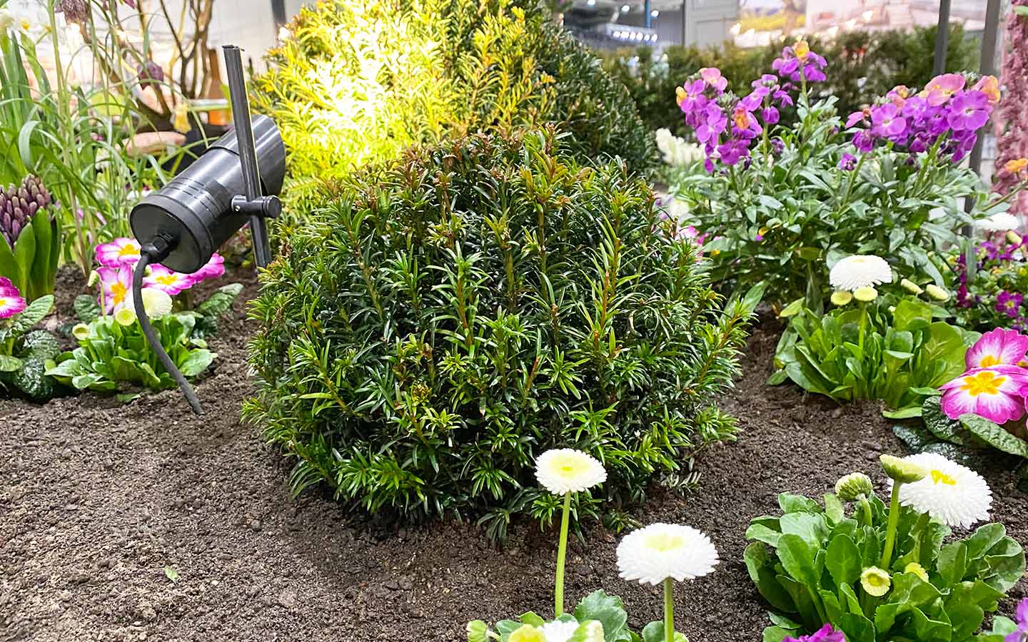 Rasen und Pflanzen - Team Grün Furtner-Althaus