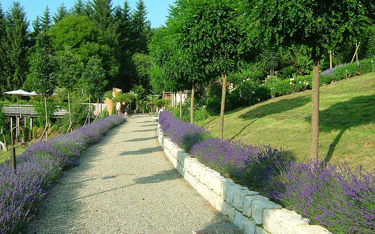 Rasen und Pflanzen - Team Grün Furtner-Althaus