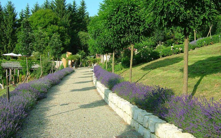 Rasen und Pflanzen - Team Grün Furtner-Althaus