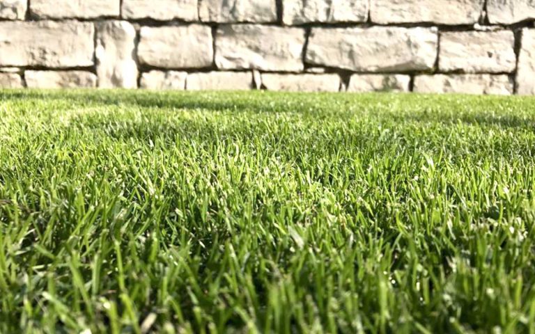 Rasen und Pflanzen - Team Grün Furtner-Althaus