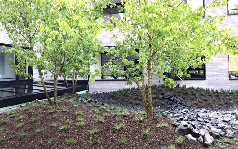 Rasen und Pflanzen - Team Grün Furtner-Althaus