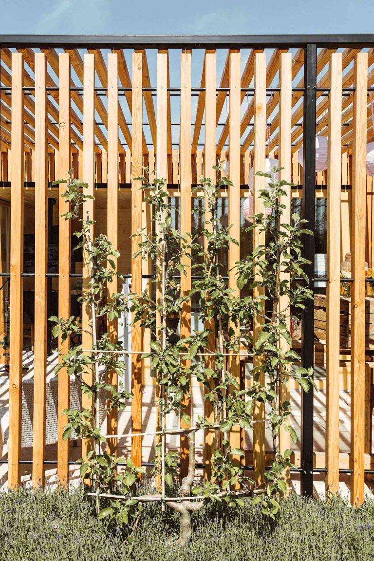 Sichtschutz Fur Den Garten Team Grun Furtner Althaus