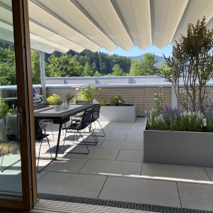 Team Gruen Elzach Wir Bauen Einen Dachgarten 01